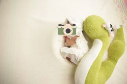 -皇家爱婴高端儿童摄影(苹果园店)