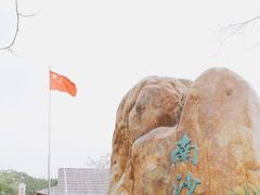 -大湾区中央湿地公园
