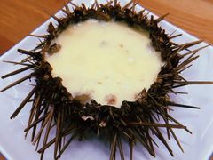 -海胆小馆(东北水饺·春柳店)