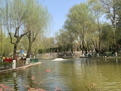 -西安市长乐公园
