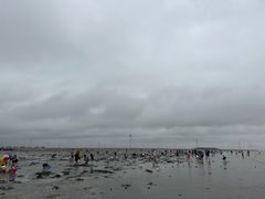 -启东黄金海滩景区