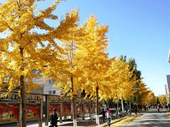 -东北大学(南湖校区)