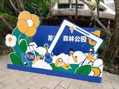 -西双版纳原始森林公园