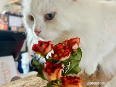 -小时光咖啡馆(开森度假森林店)