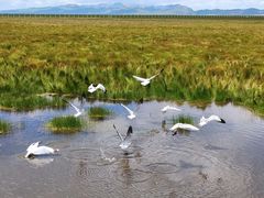 -花湖生态旅游区