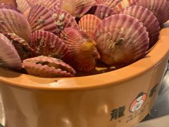 -龍歌自助小火锅(市北和达中心城店)