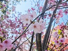 -观澜湖生态运动公社