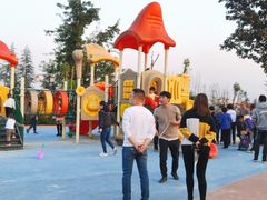 -铁山坪森林公园