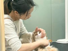 -四月宠物医院·猫专科·心脏专科·内科(转塘店)