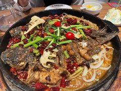 -老板恋上鱼(恒隆广场店)