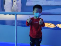 -贝林大翅鲸简餐厅(国家海洋博物馆店)