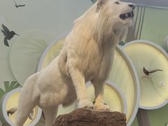 -陕西自然博物馆