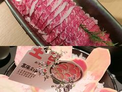 -季季山·云南野生菌火锅(上海首店)