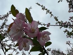 -阮大兴糕团(杭州西湖银泰百货店)