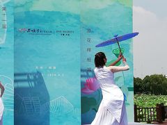 -荷塘月色湿地公园·向阳花洲
