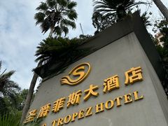 -圣爵菲斯大酒店(长沙世界之窗店)