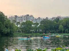 -新江湾城公园