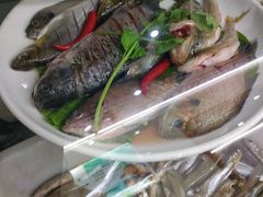 -全乐鱼馆·淳牌有机鱼直营店