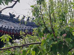 -莲花池公园