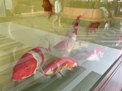 -山水温泉