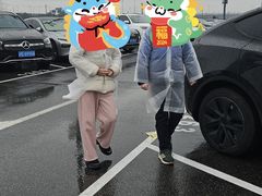 -迪士尼乐园停车场