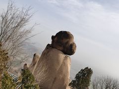-嵖岈山风景区
