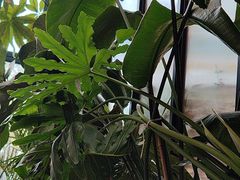 -Laures·月桂西班牙碳烤餐厅(十尚坊店)