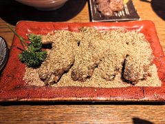 -鸟屯(三里屯店)