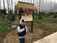 -上海长兴岛郊野公园