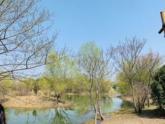 -梁鸿国家湿地公园