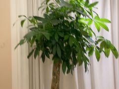 -洛阳宴·洛阳菜(南昌路店)