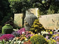 -杭州植物园