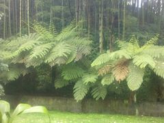 -西南交通大学(峨眉校区)