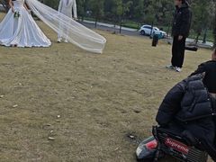 -两河城市森林公园