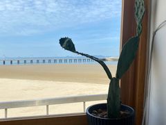 -ChanDu躔度咖啡(灯塔店)