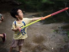 -白水寺森林公园