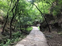 -北京上方山国家森林公园