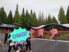 -东平国家森林公园