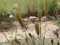 iphone_upload_pic-万源龙顺度假庄园生态观光园