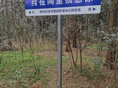 -同里国家湿地公园