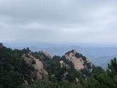 -六里坪国家森林公园