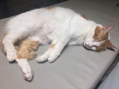 -小时光咖啡馆(开森度假森林店)