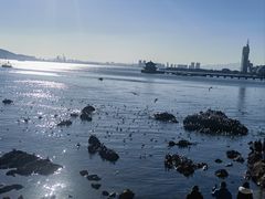 -青岛海滨风景区