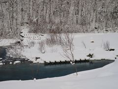 -青池