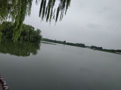 -大兴滨河森林公园