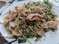 -沽源味道蒙餐莜面家常菜