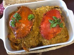 -茉莉.Red Crab