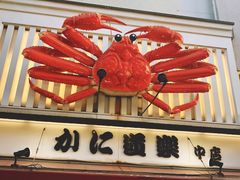 -蟹道乐(道顿堀本店)