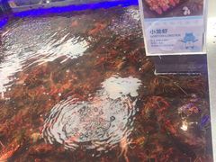 -盒马鲜生(大成店)