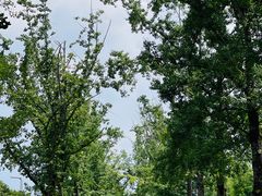 -重庆中央公园(渝北区)